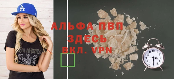 МДПВ Бородино