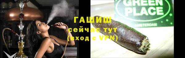 МДПВ Бородино