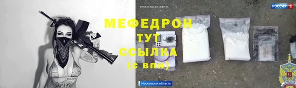 МДПВ Бородино