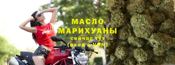 МДПВ Бородино