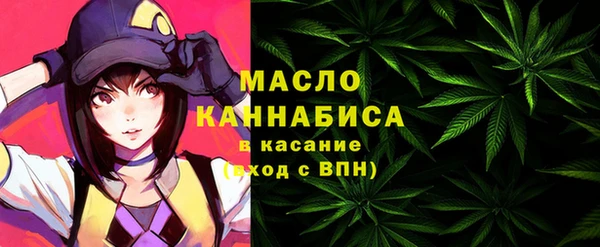 МДПВ Бородино