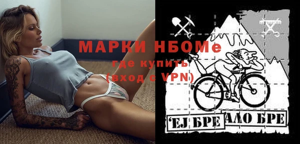 МДПВ Бородино